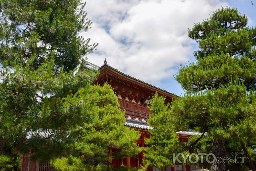大徳寺　快晴と金毛閣