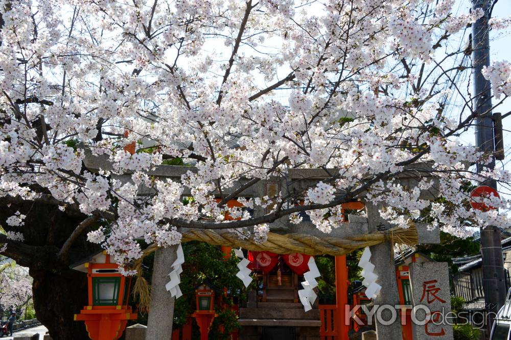 サクラと辰己神社