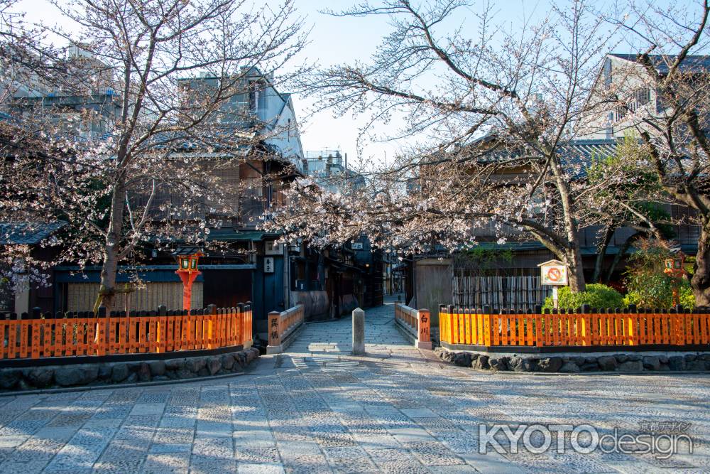 祇園白川　巽橋に春の訪れ