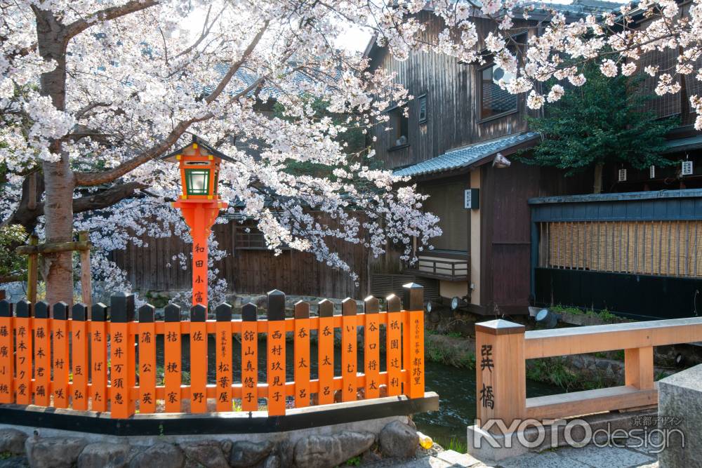 白川巽橋　3月27日の桜1