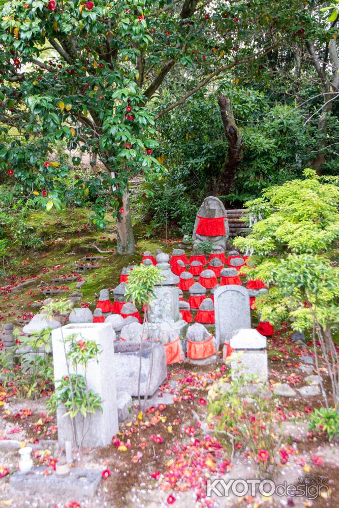 法金剛院　椿と石仏群