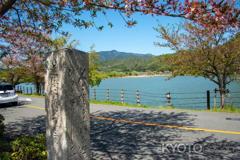 広沢池　石碑越しの春