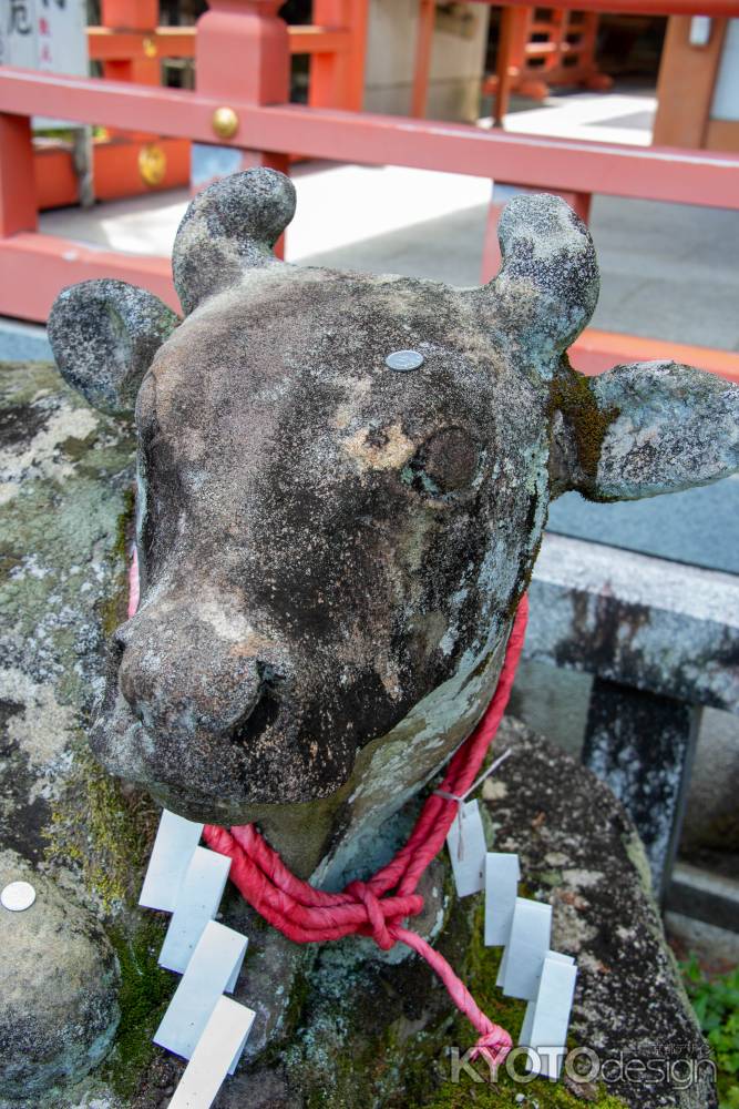 長岡天満宮　りりしいお顔