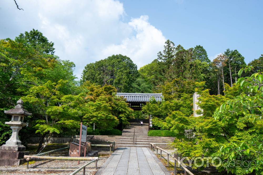 光明寺　新緑の総門