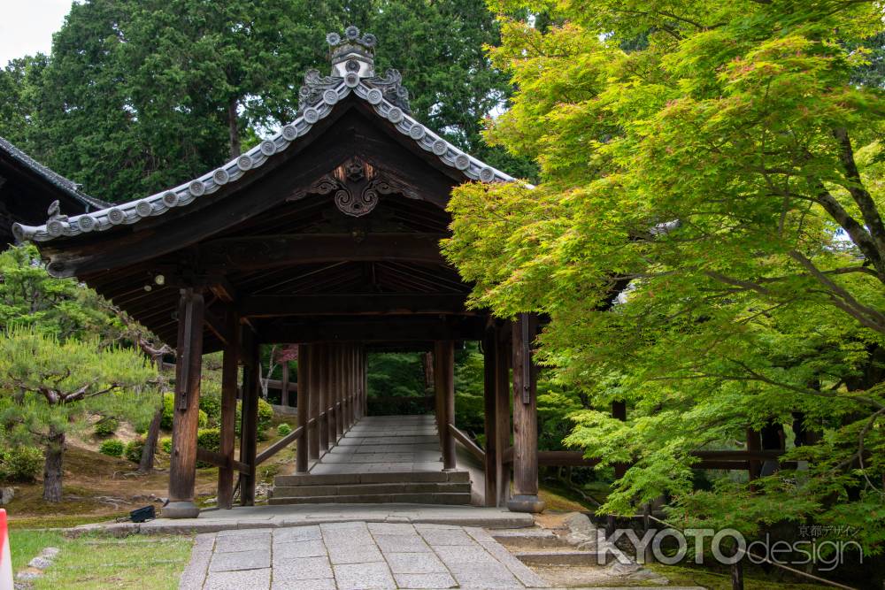 東福寺　橋の入り口