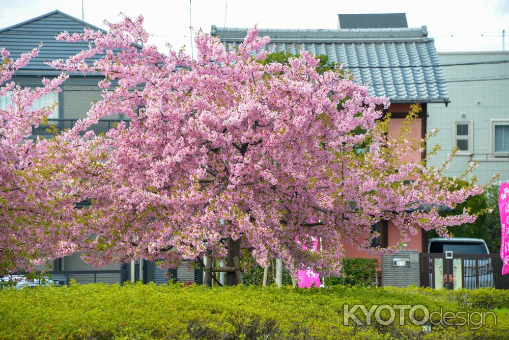 駅前から　春始まる