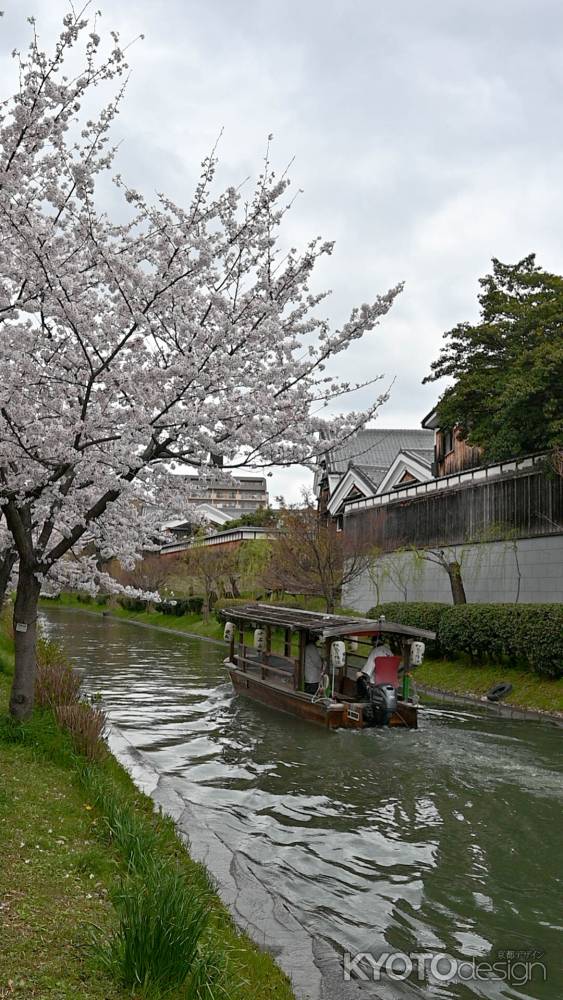 桜の十石舟