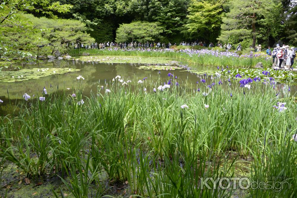 花も人もいっぱいです