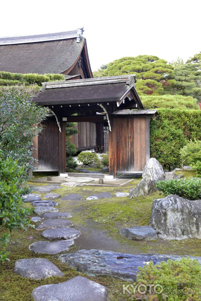 ゆっくりとした歩みで