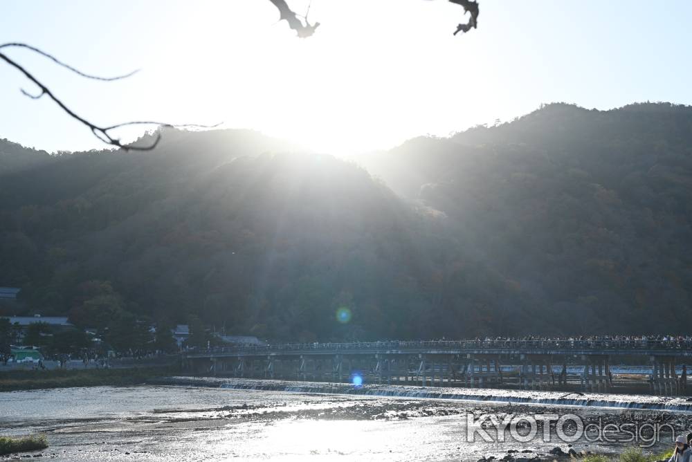 夕日に照山紅葉