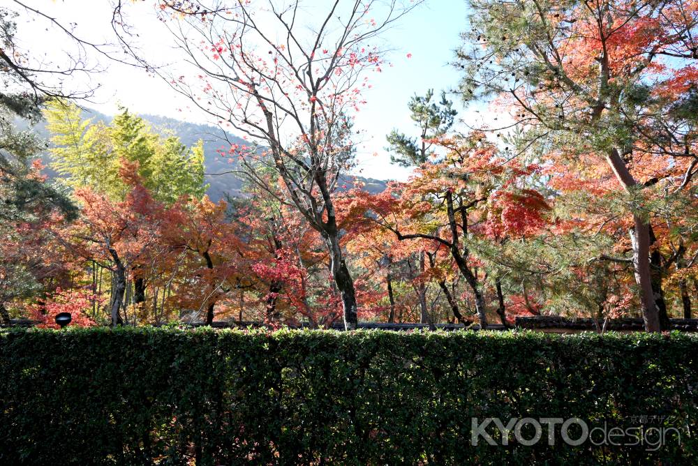 垣根ごしの宝厳院