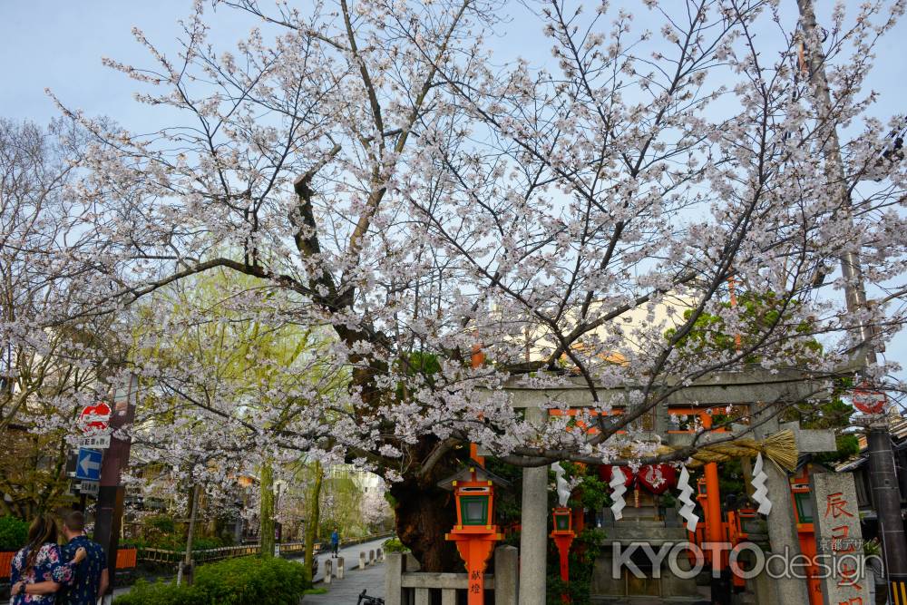 大明神の春景色