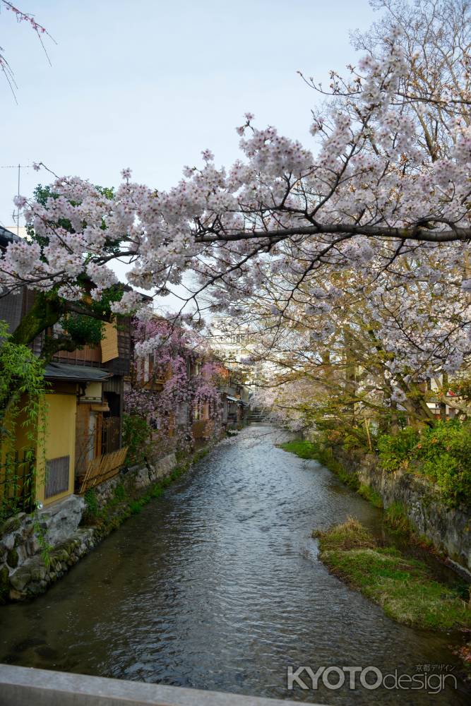 川の流れとともに