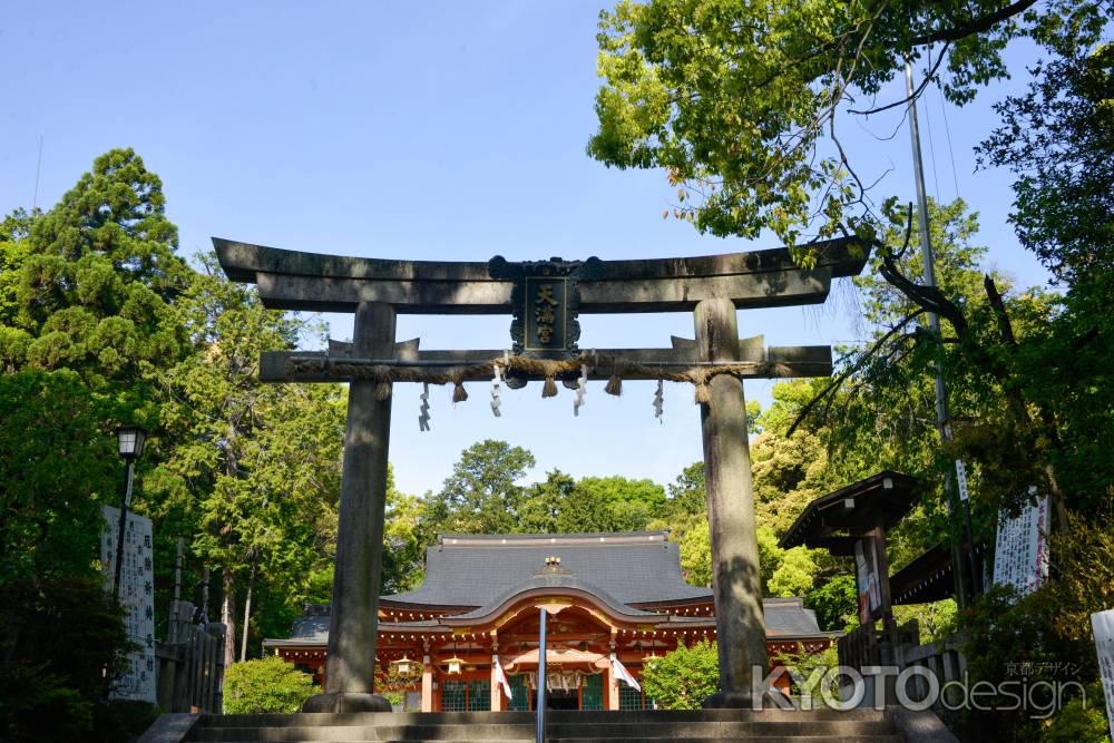 皐月の青空の下