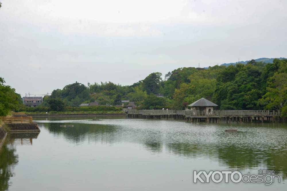 八条が池のさざ波