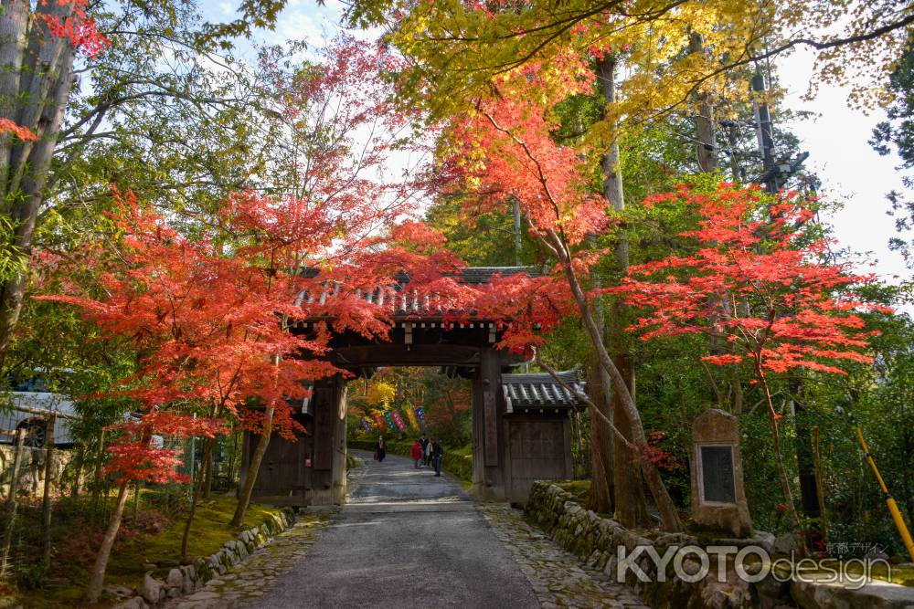 赤に色づく参道