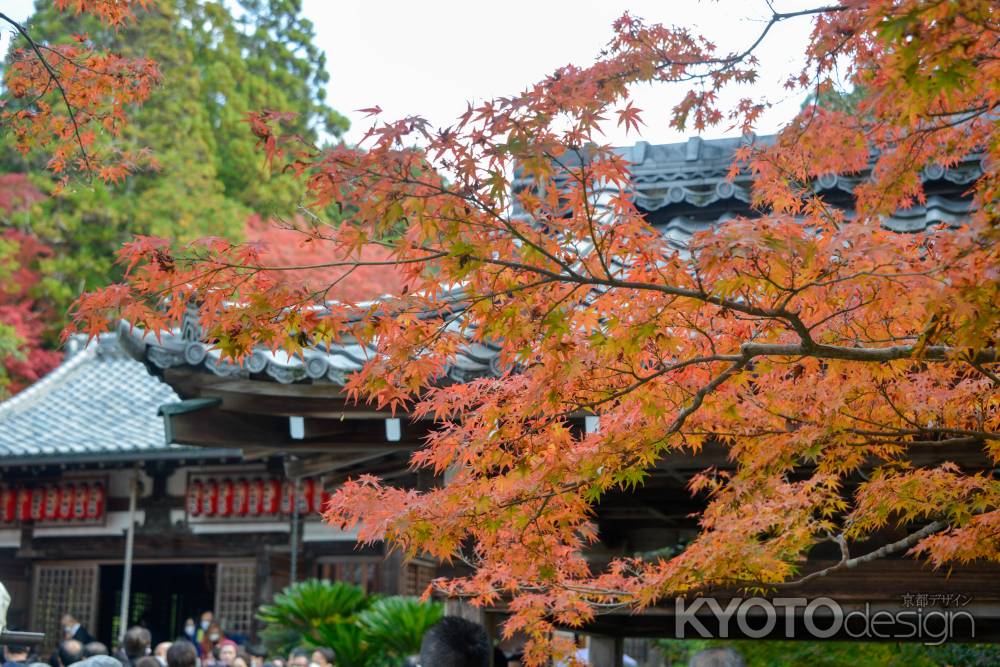 茜に色づく境内