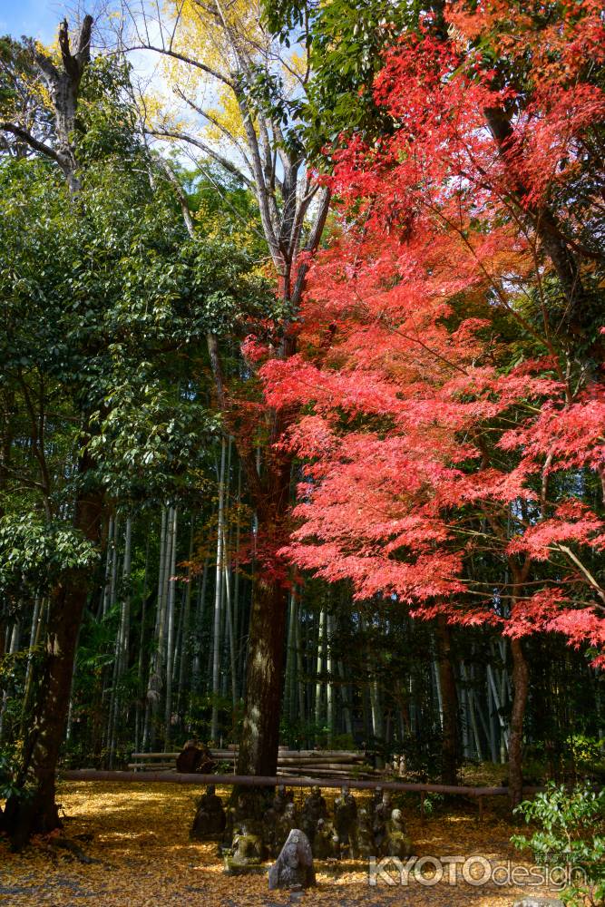 羅漢さんの赤い屋根