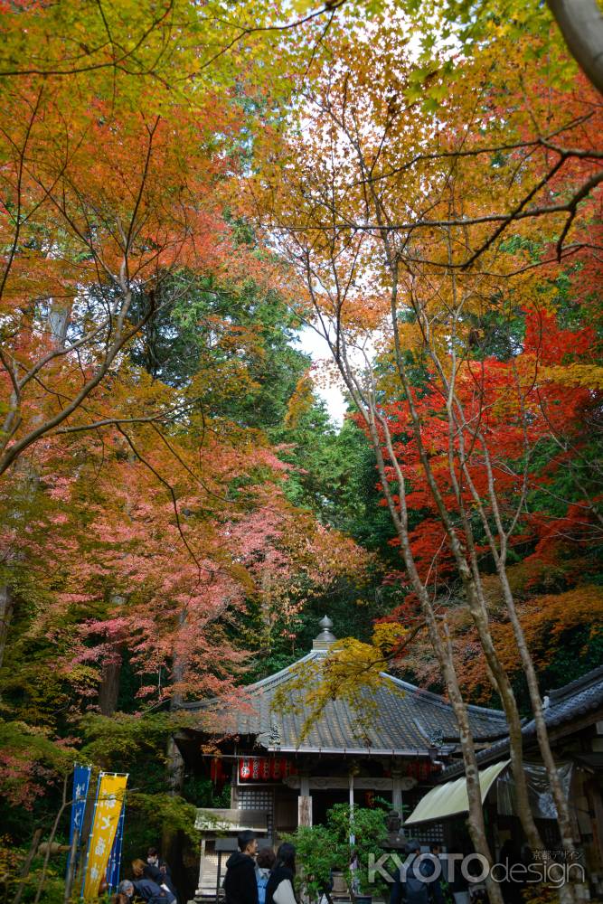 紅葉に覆われて