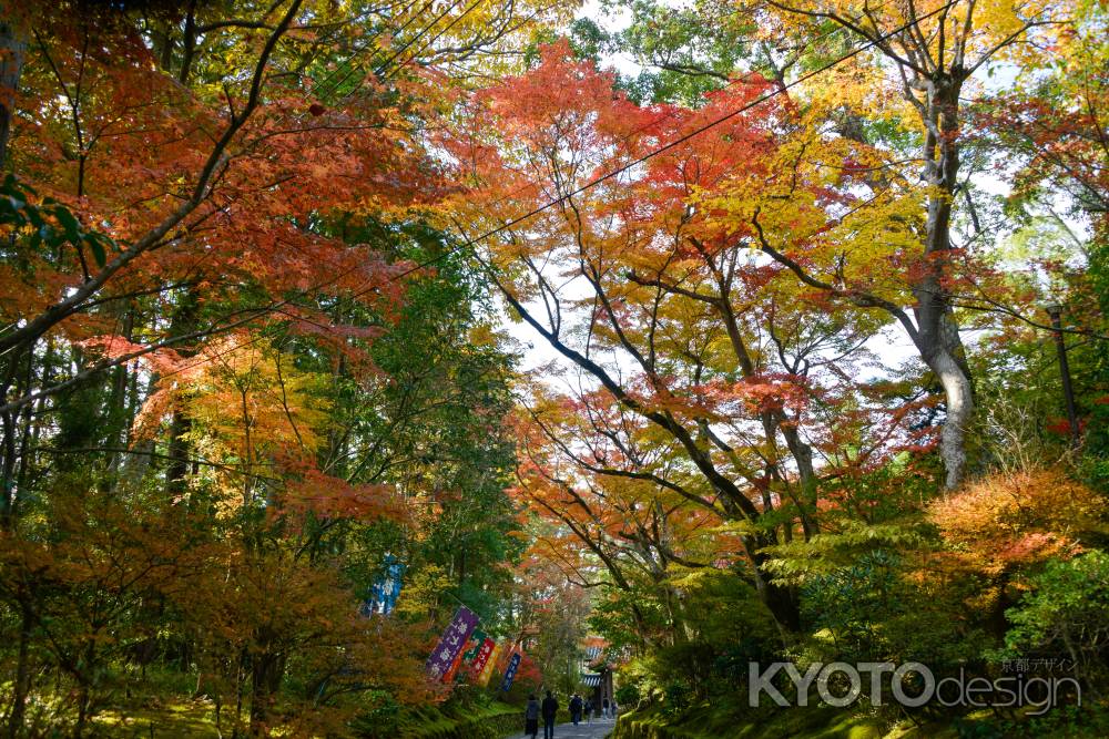 もみじトンネル