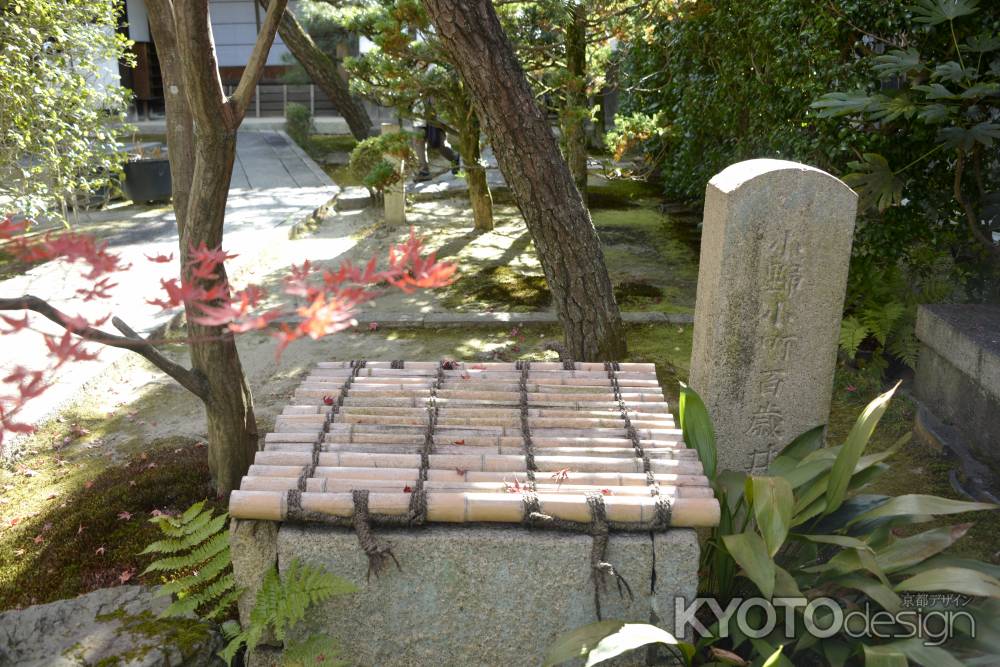 退耕庵の小野小町百歳井戸