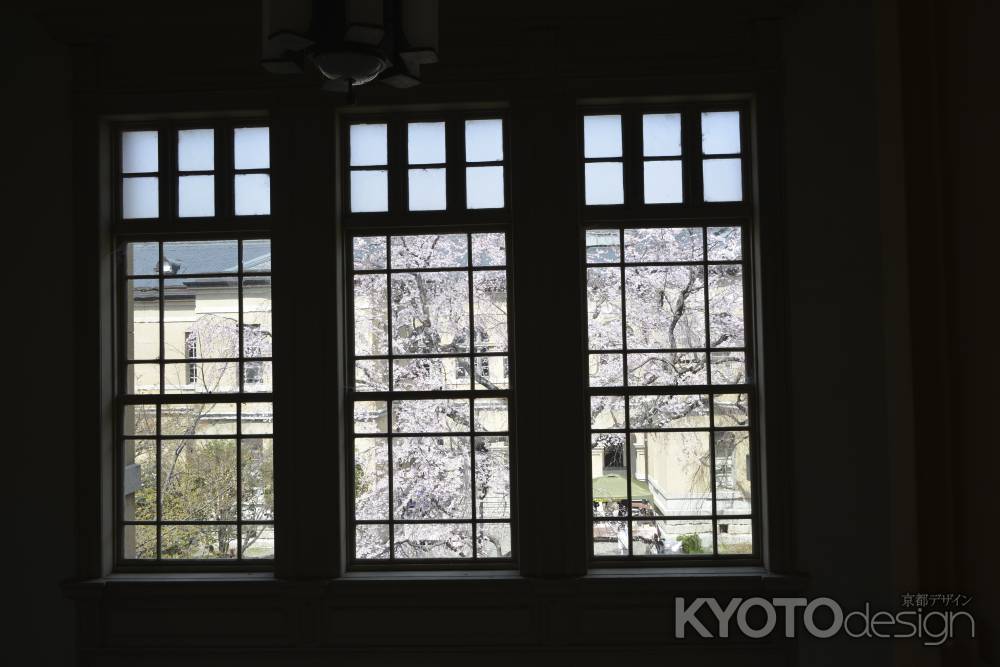 窓越しの桜景色
