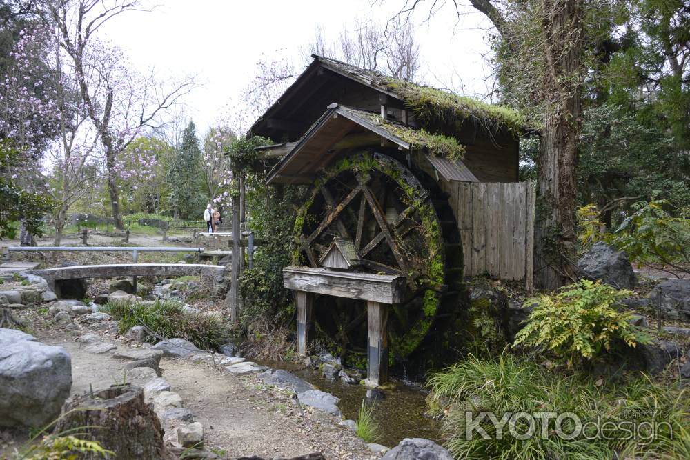 植物園の水車