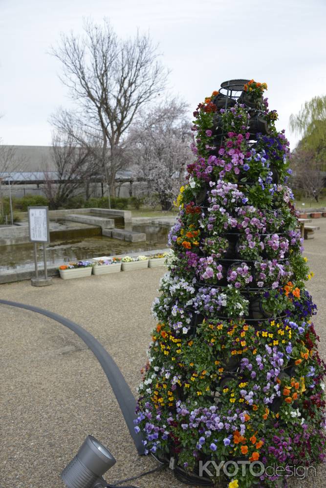 かわいいお花のお出迎え