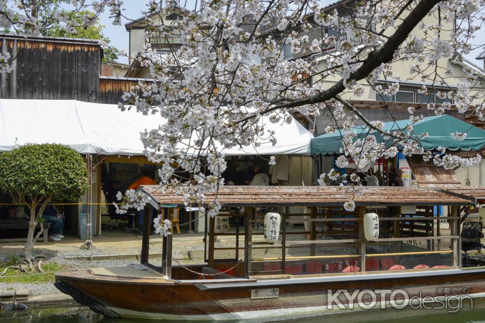 サクラ水路へいざ出発