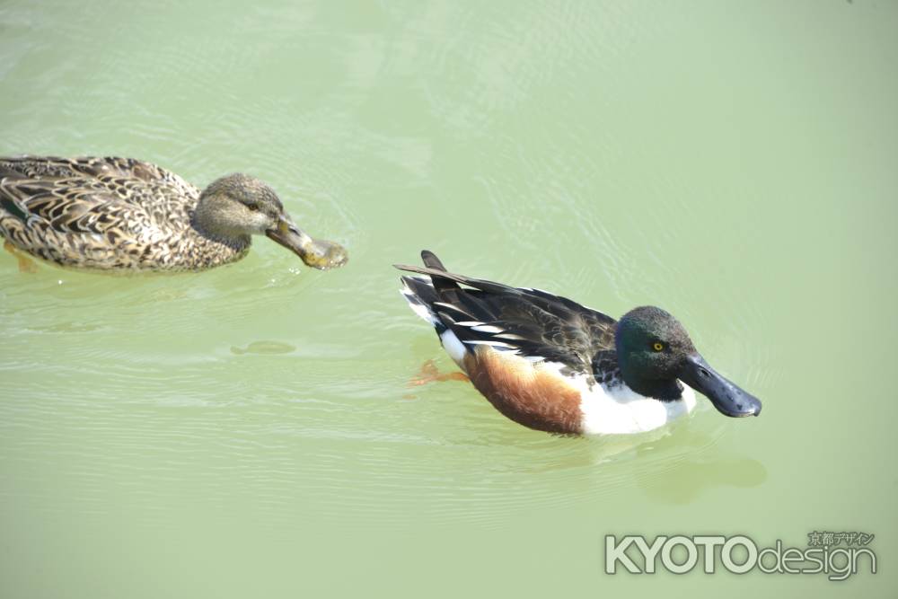 久しぶりのご対面