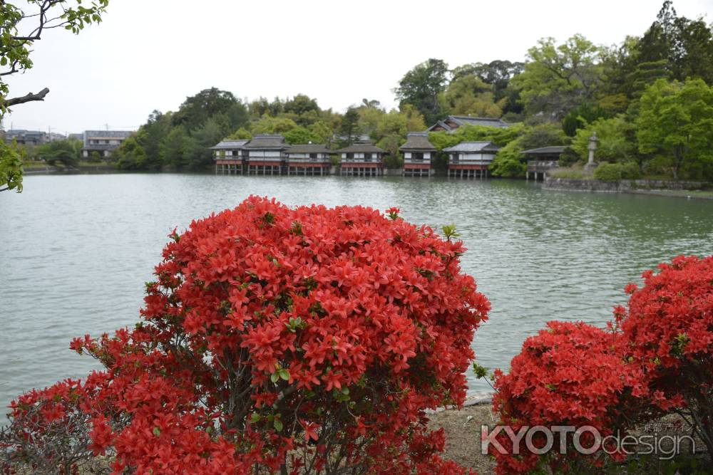 霧島つつじと錦水亭