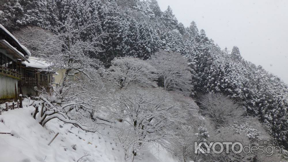 京都愛宕「月輪寺」風景3