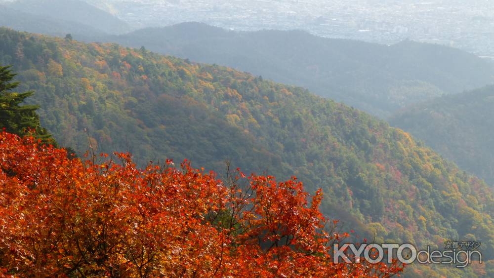京都愛宕「月輪寺」秋の風景⑦山景色