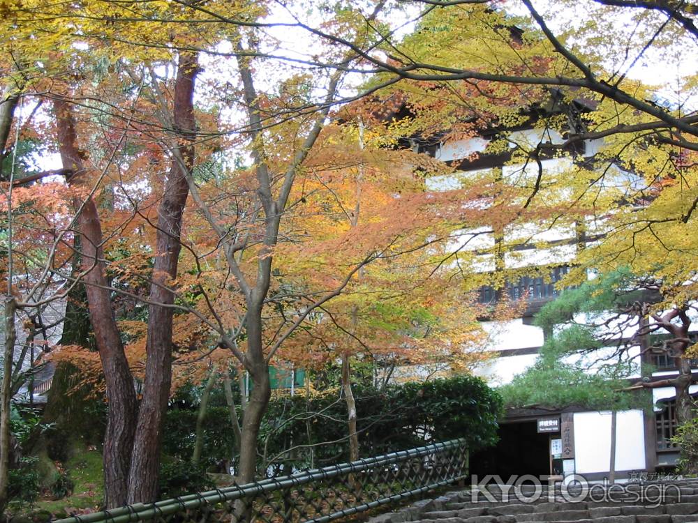 龍安寺参道の紅葉