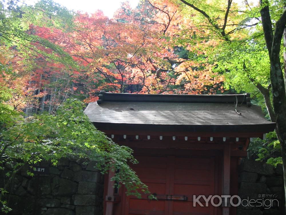 紅葉の大原三千院