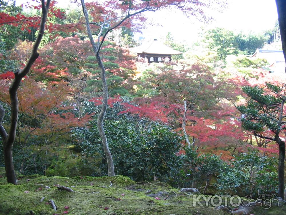 秋の銀閣寺