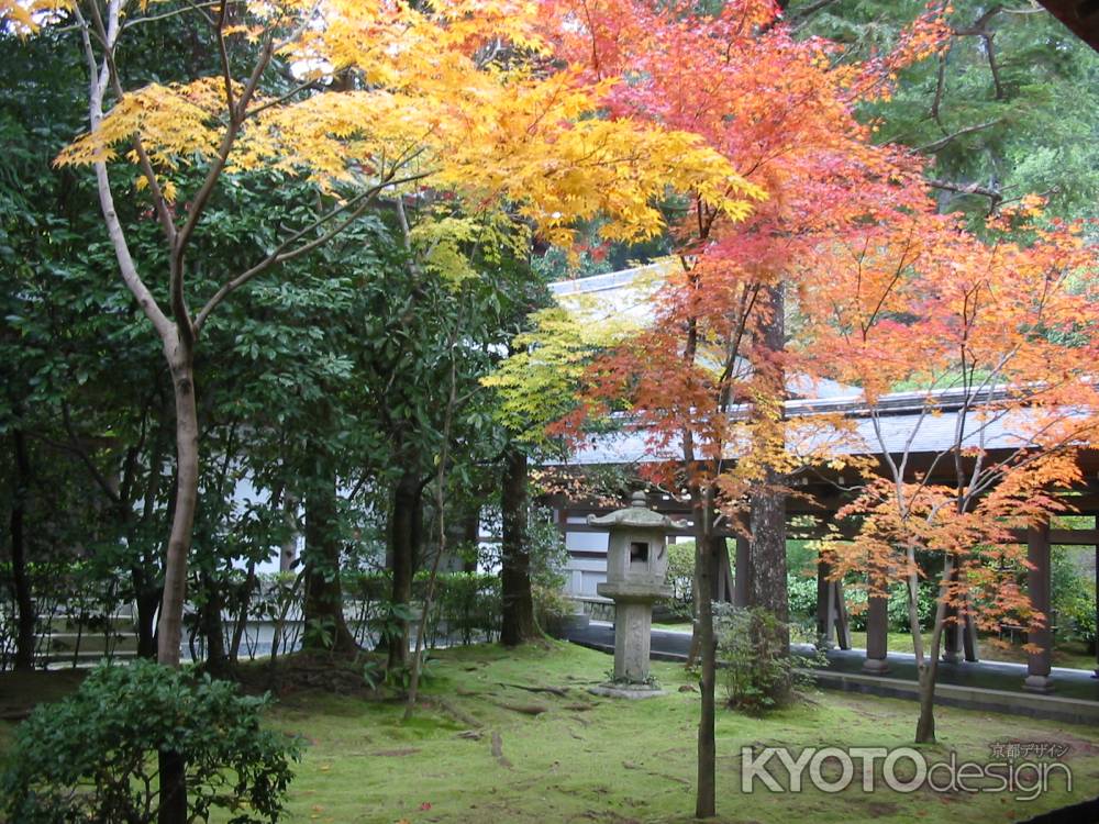 龍安寺 秋の庭園