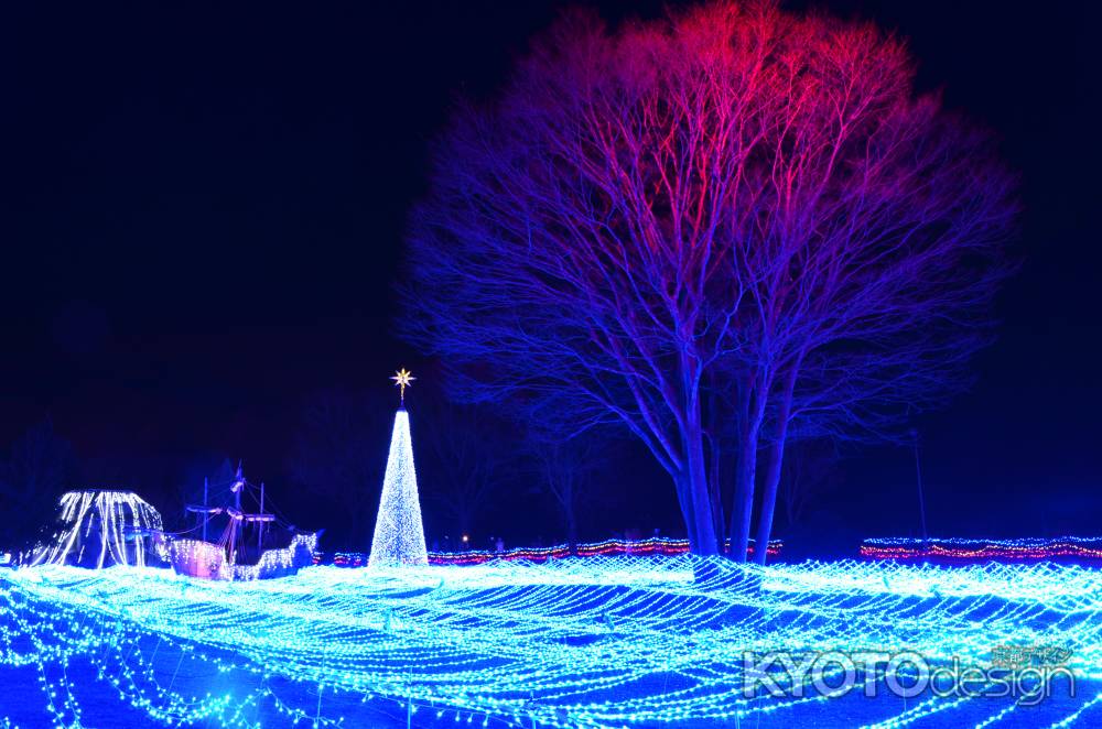 るり渓の夜灯り