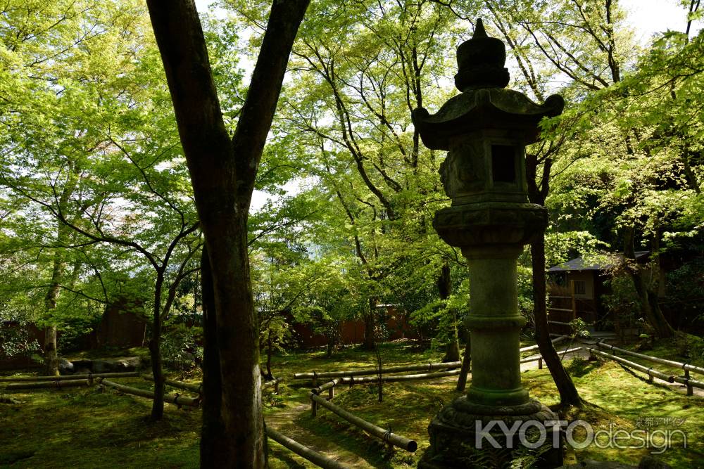 緑の風と鳥の声