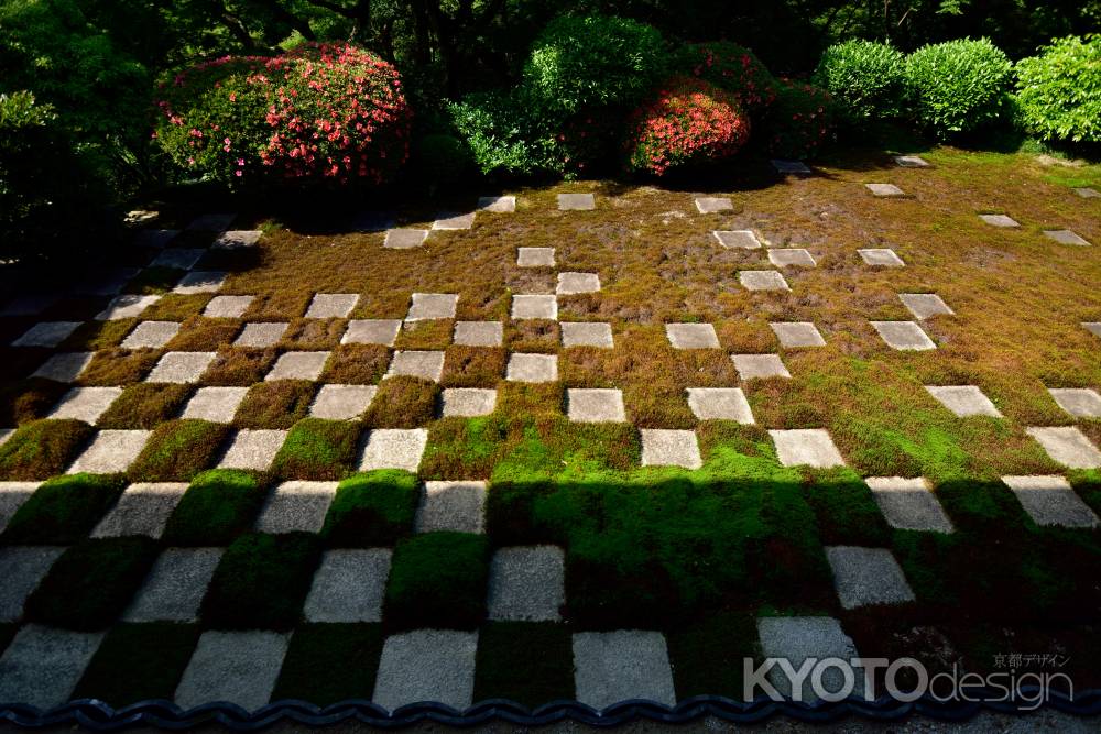 コンポジション：緑