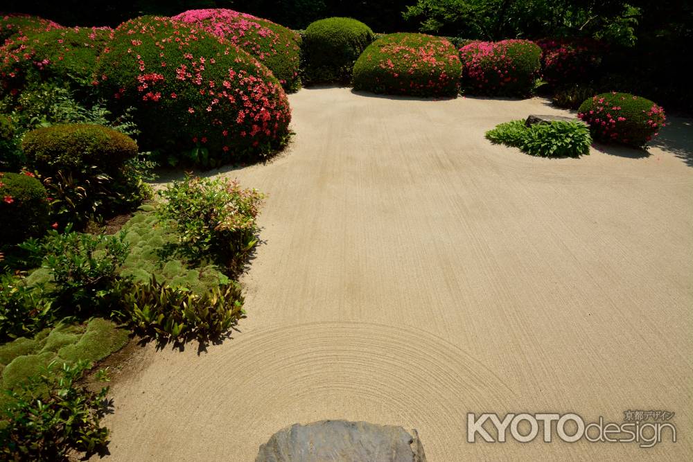 丈山寺、染まる葉々