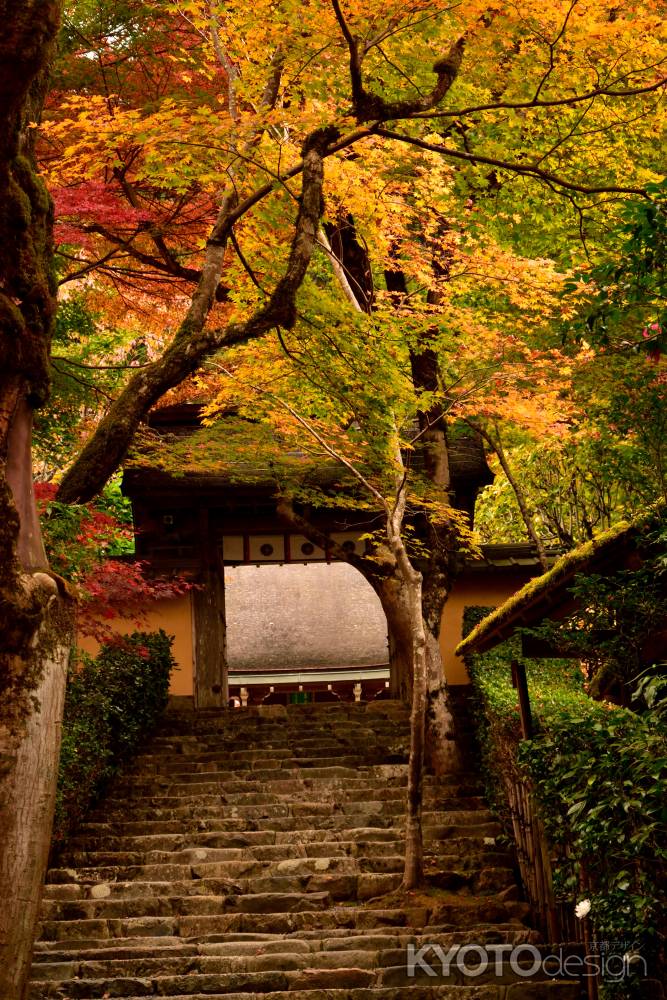 秋、平家を偲ぶ