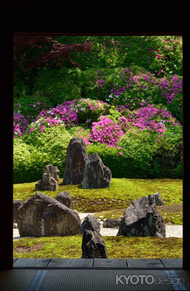 魅了のコンポジション