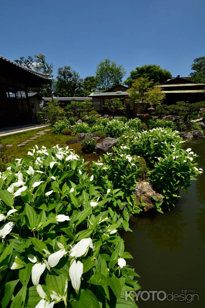 祇園の寺の白化粧