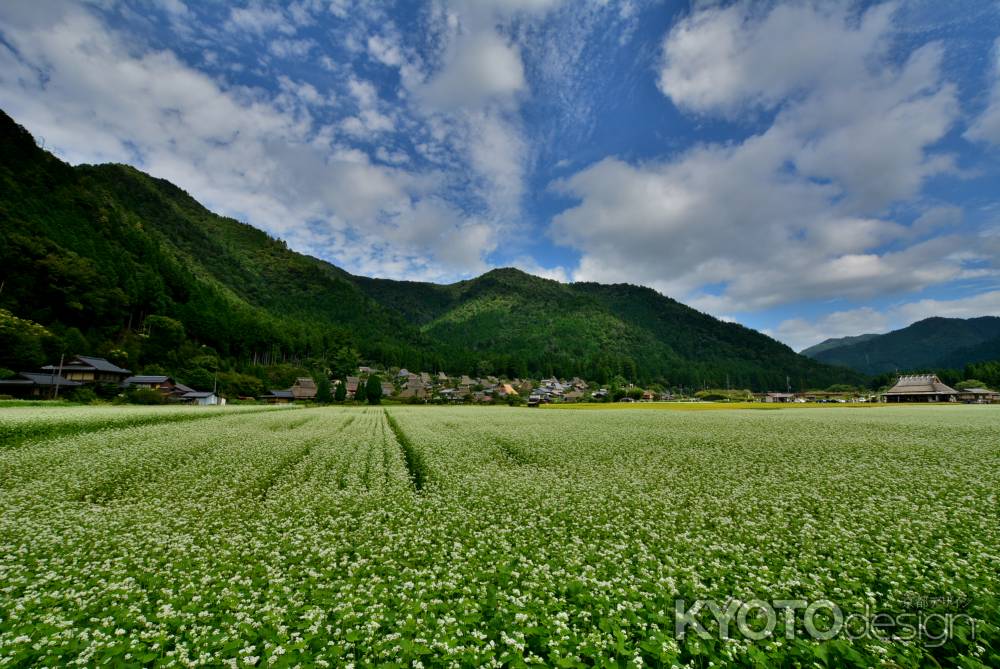 里山、秋の白波