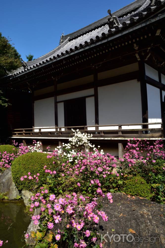 秋花揺れる西の山