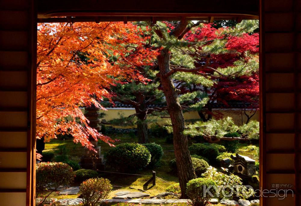 名刹、秋彩の襖絵