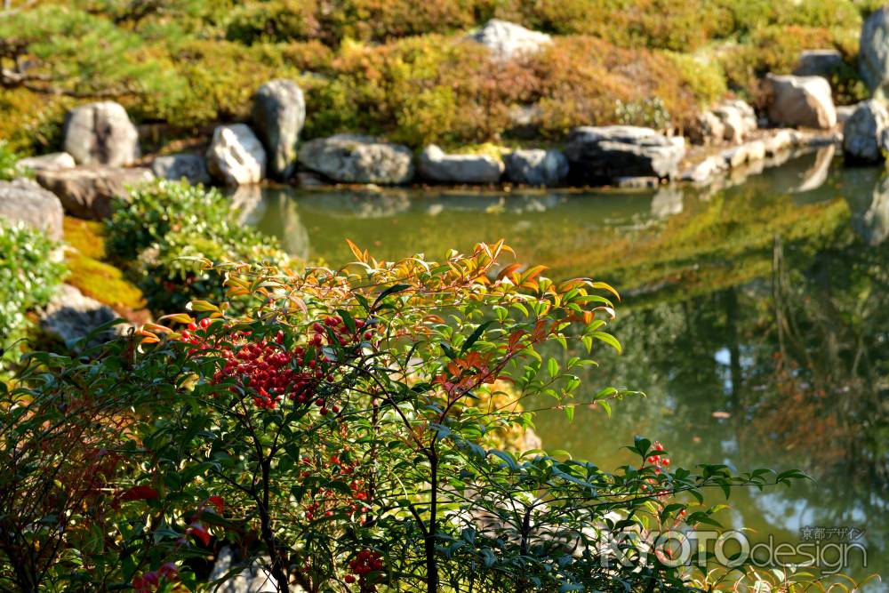 南天と侘びの庭