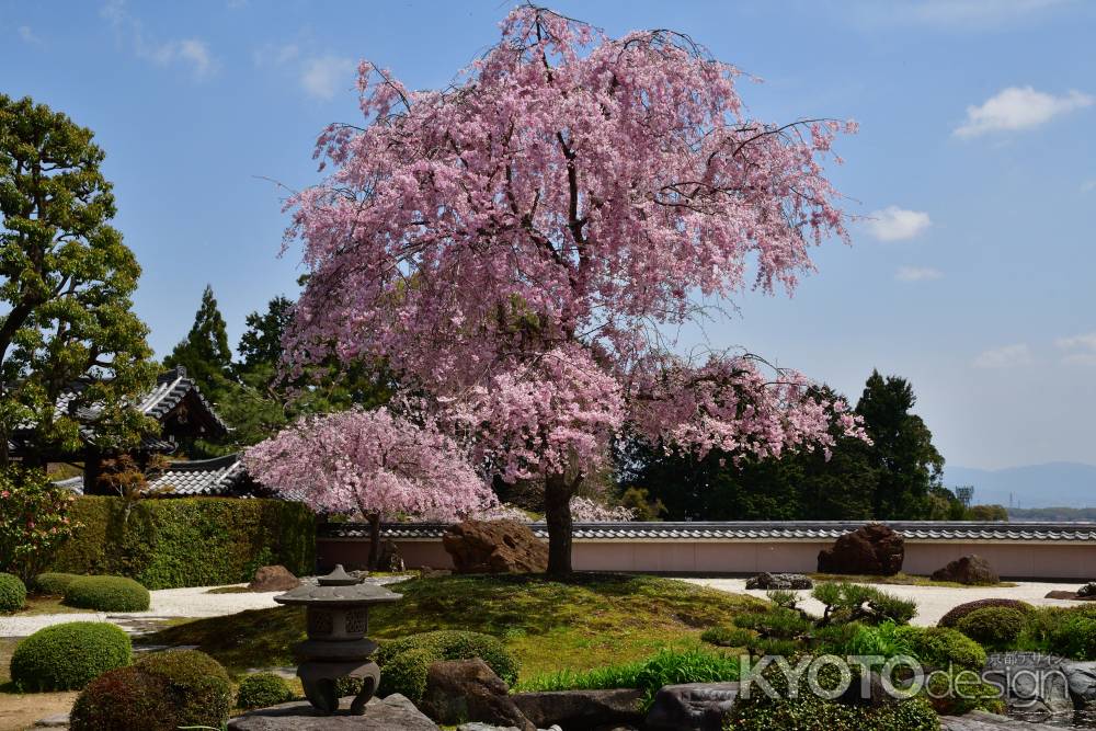 西山、春の名勝