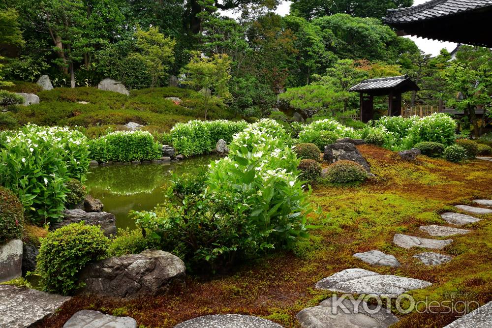 名庭、半夏生の候